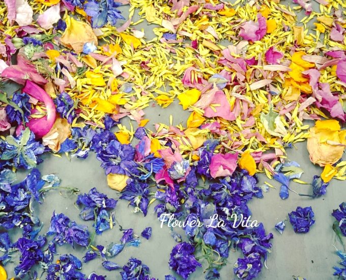 dried flowers-florist-gift-display-torquay-torbay