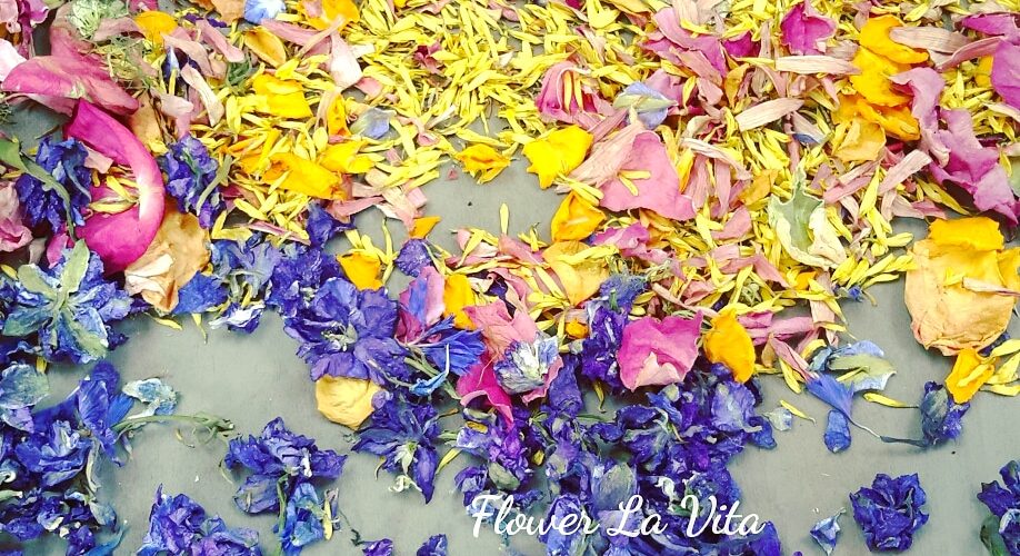 dried flowers-florist-gift-display-torquay-torbay