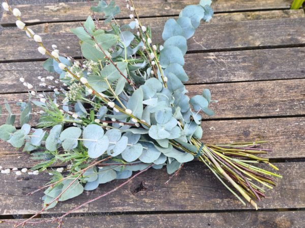 Eucalyptus Bunch